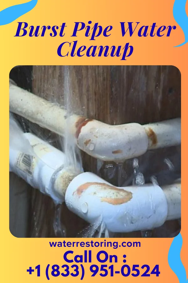 Burst Pipe Water Cleanup in Hooks, TX