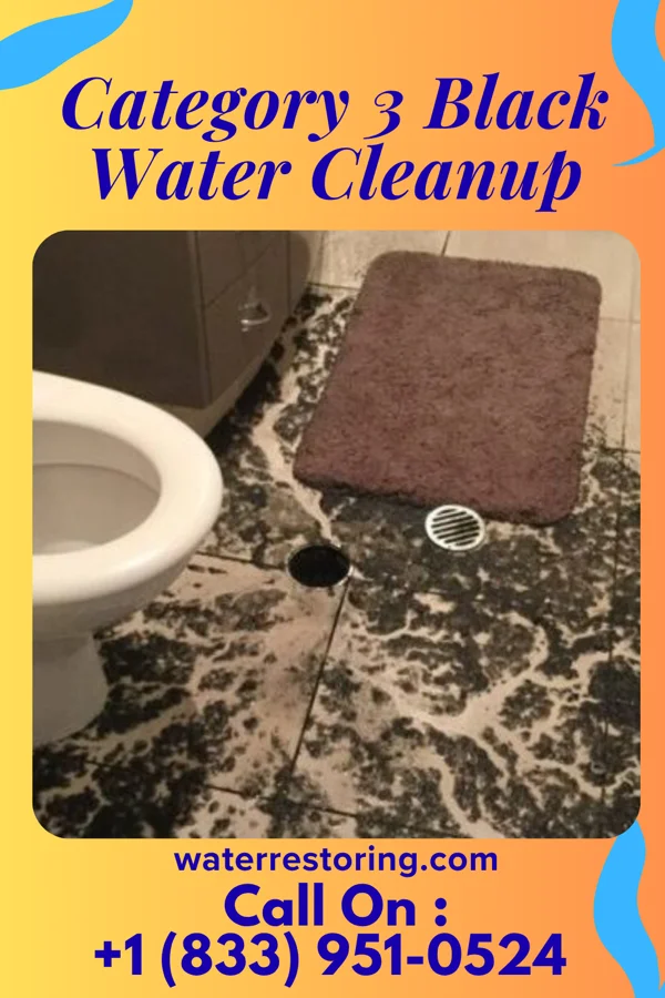 Category 3 Black Water Cleanup in Hooks, TX
